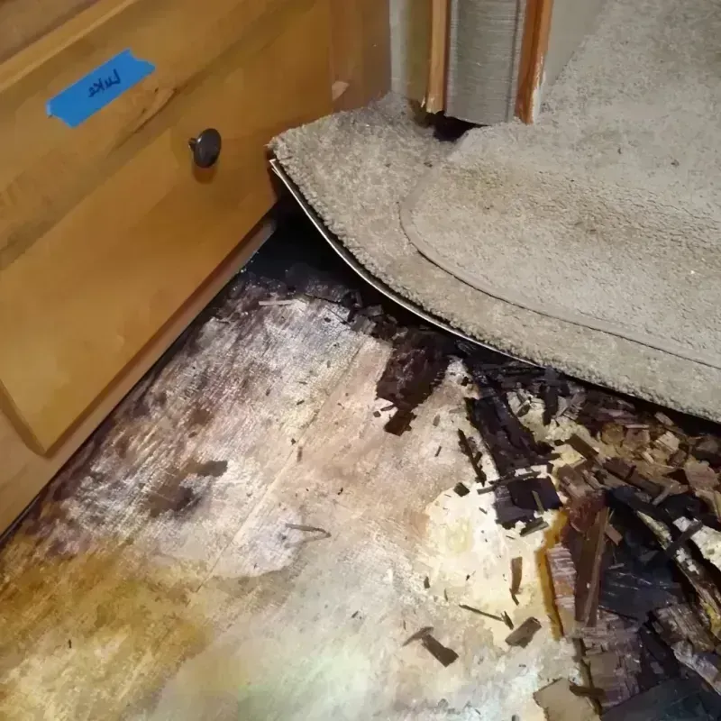 Wood Floor Water Damage in Calumet, PA